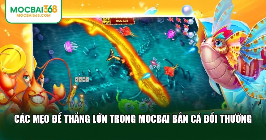 Mẹo để thắng lớn trong MOCBAI bắn cá đổi thưởng